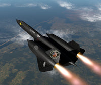 Blackbird - Blended - Medium / Dark Roast Blend