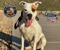 Foundation – Breakfast Blend Plus – Extra Caffeine Blend