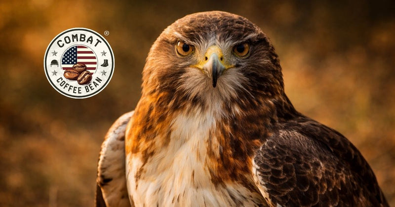 Hawk Collection