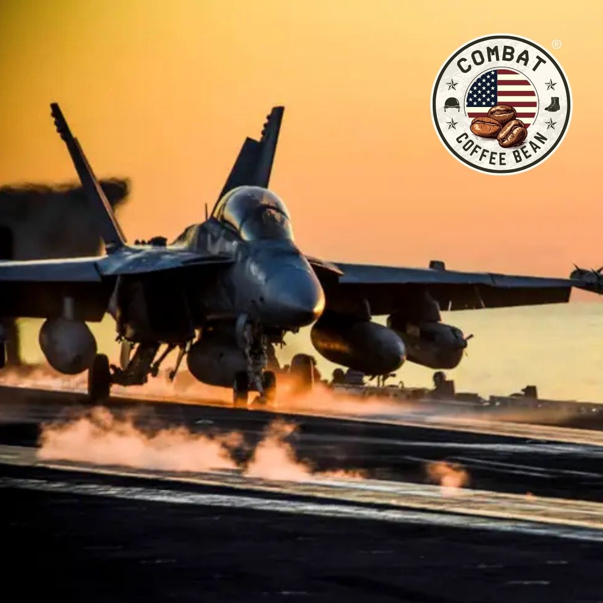 Super Hornets - Costa Rican - Medium/Light Roast (Brown Spice and Brown Sugar, hint Stone Fruit)